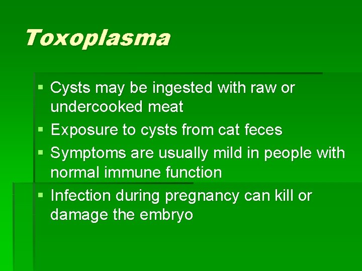 Toxoplasma § Cysts may be ingested with raw or undercooked meat § Exposure to
