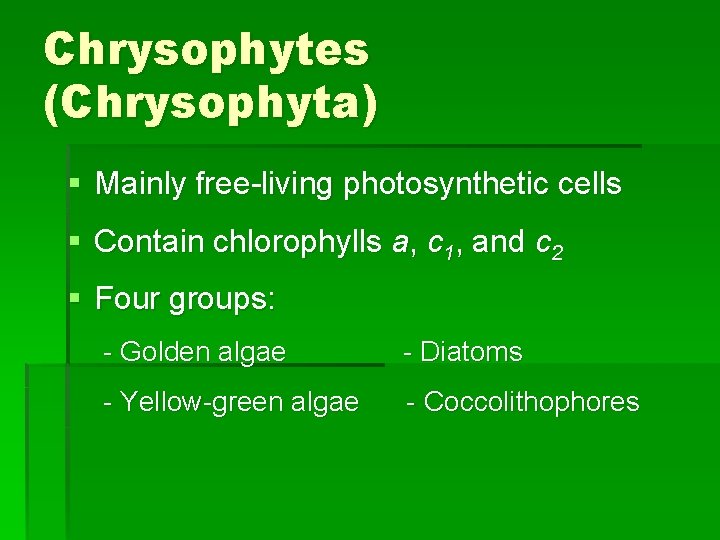 Chrysophytes (Chrysophyta) § Mainly free-living photosynthetic cells § Contain chlorophylls a, c 1, and Chrysophytes (Chrysophyta) § Mainly free-living photosynthetic cells § Contain chlorophylls a, c 1, and