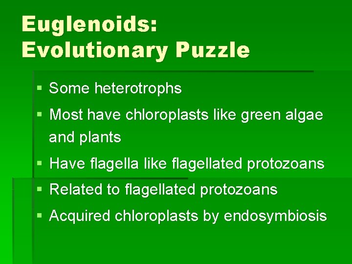 Euglenoids: Evolutionary Puzzle § Some heterotrophs § Most have chloroplasts like green algae and