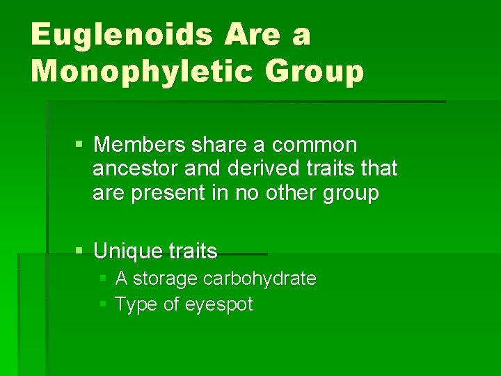 Euglenoids Are a Monophyletic Group § Members share a common ancestor and derived traits