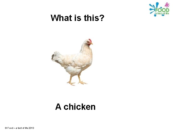 What is this? A chicken © Food – a fact of life 2013 