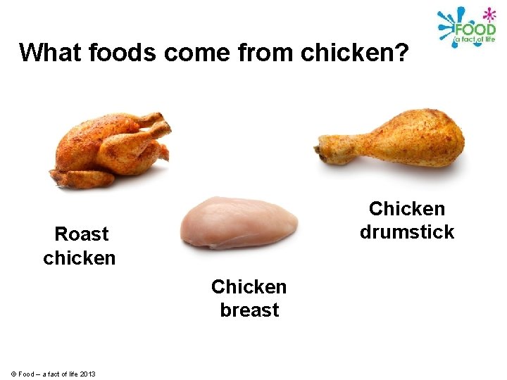 What foods come from chicken? Chicken drumstick Roast chicken Chicken breast © Food –