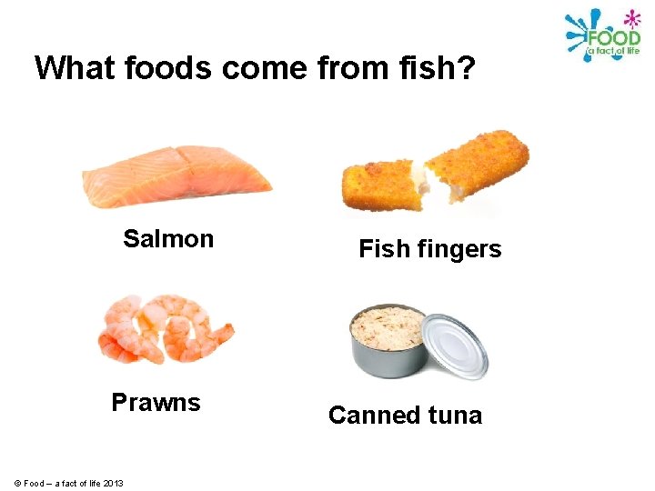 What foods come from fish? Salmon Prawns © Food – a fact of life