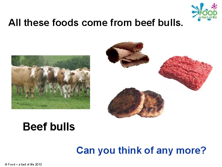All these foods come from beef bulls. Beef bulls Can you think of any