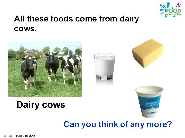 All these foods come from dairy cows. Dairy cows Can you think of any