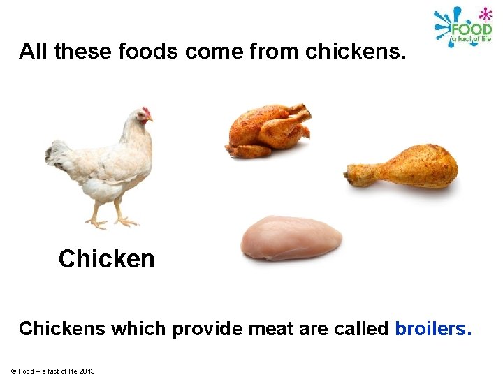 All these foods come from chickens. Chickens which provide meat are called broilers. ©