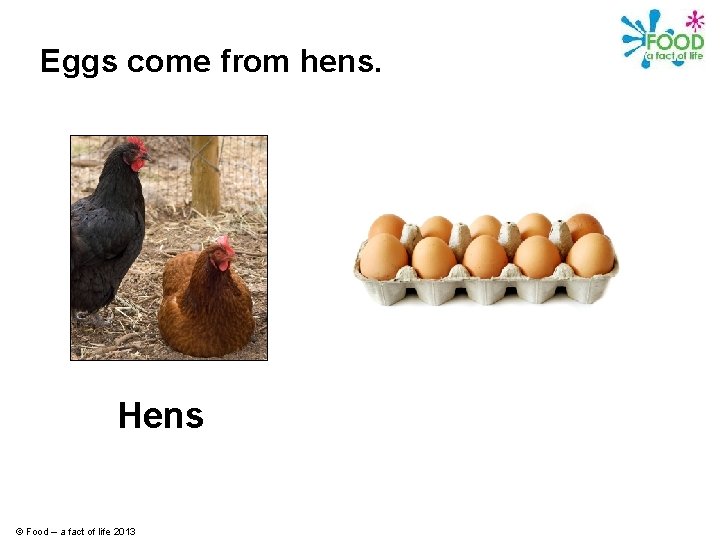 Eggs come from hens. Hens © Food – a fact of life 2013 
