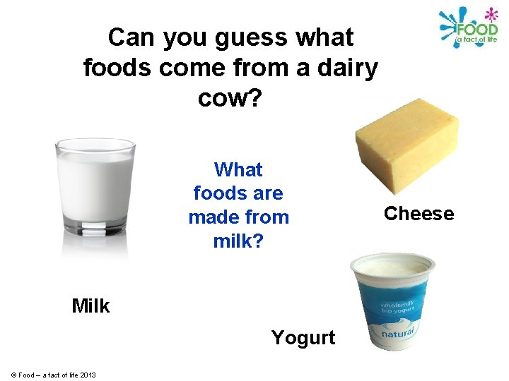 Can you guess what foods come from a dairy cow? What foods are made