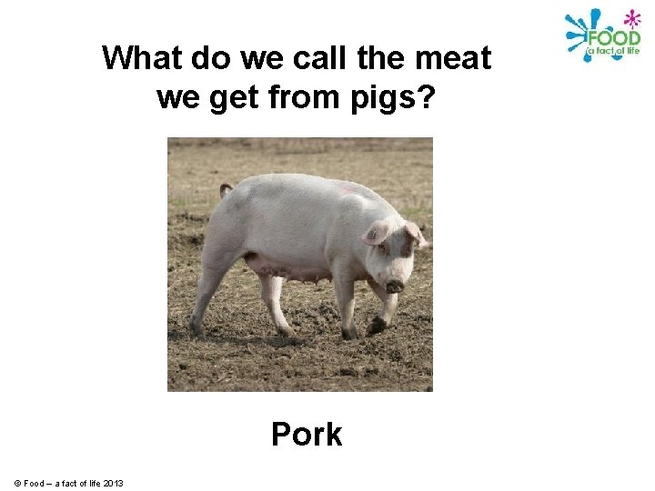 What do we call the meat we get from pigs? Pork © Food –