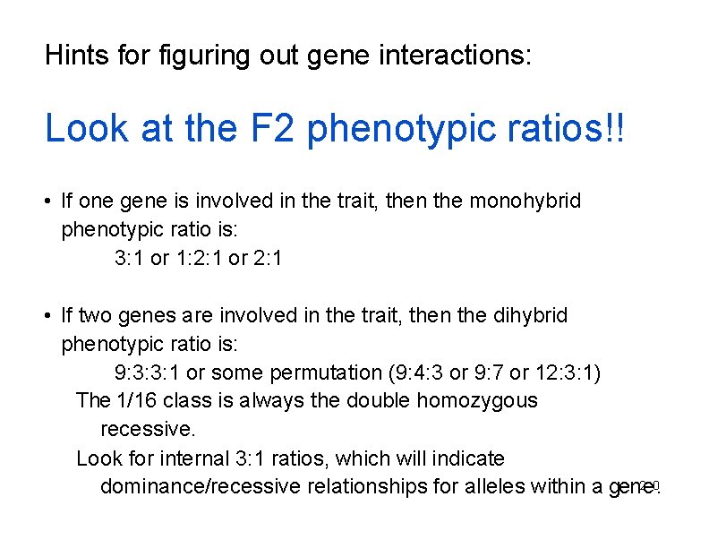 Hints for figuring out gene interactions: Look at the F 2 phenotypic ratios!! •