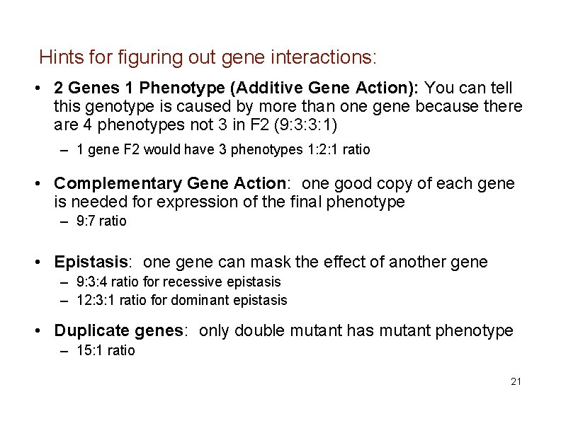 Hints for figuring out gene interactions: • 2 Genes 1 Phenotype (Additive Gene Action):