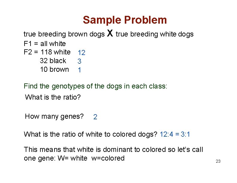 Sample Problem true breeding brown dogs X true breeding white dogs F 1 =