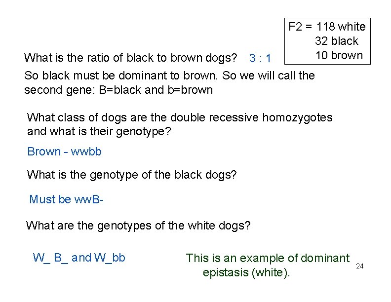 F 2 = 118 white 32 black 10 brown What is the ratio of