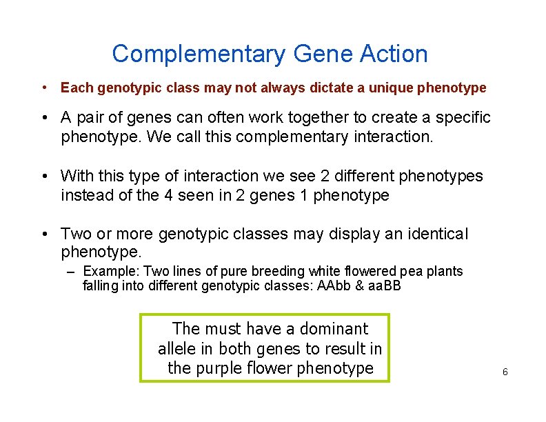 Complementary Gene Action • Each genotypic class may not always dictate a unique phenotype