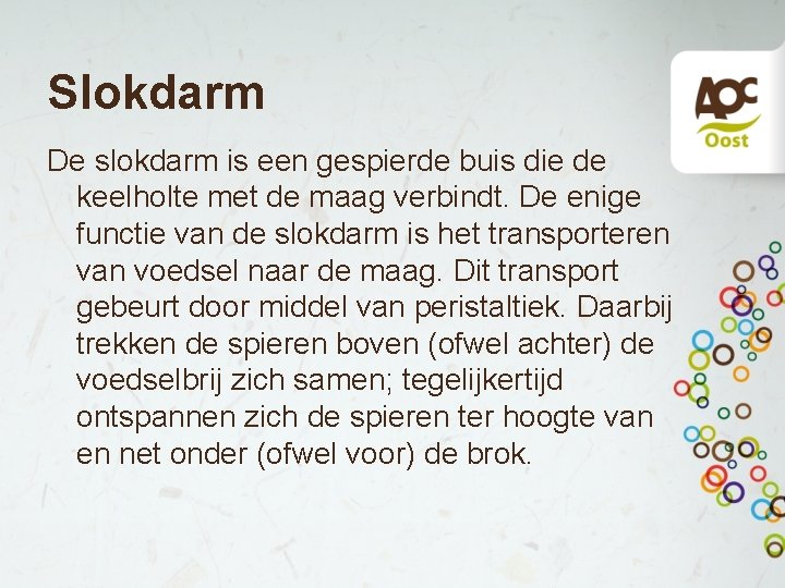 Slokdarm De slokdarm is een gespierde buis die de keelholte met de maag verbindt. Slokdarm De slokdarm is een gespierde buis die de keelholte met de maag verbindt.