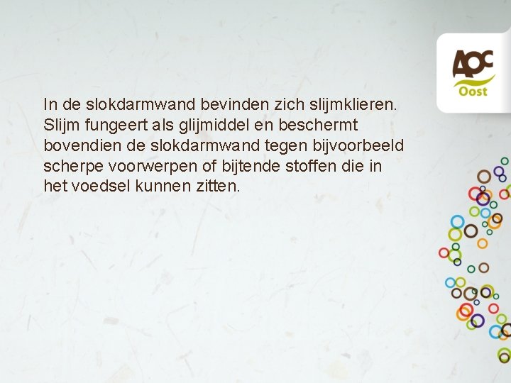 In de slokdarmwand bevinden zich slijmklieren. Slijm fungeert als glijmiddel en beschermt bovendien de In de slokdarmwand bevinden zich slijmklieren. Slijm fungeert als glijmiddel en beschermt bovendien de