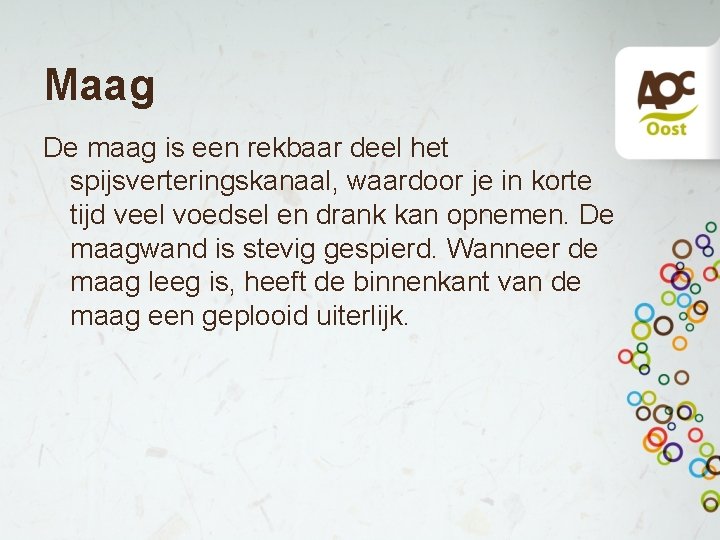 Maag De maag is een rekbaar deel het spijsverteringskanaal, waardoor je in korte tijd Maag De maag is een rekbaar deel het spijsverteringskanaal, waardoor je in korte tijd