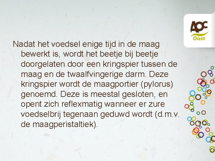 Nadat het voedsel enige tijd in de maag bewerkt is, wordt het beetje bij Nadat het voedsel enige tijd in de maag bewerkt is, wordt het beetje bij