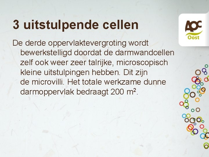 3 uitstulpende cellen De derde oppervlaktevergroting wordt bewerkstelligd doordat de darmwandcellen zelf ook weer 3 uitstulpende cellen De derde oppervlaktevergroting wordt bewerkstelligd doordat de darmwandcellen zelf ook weer