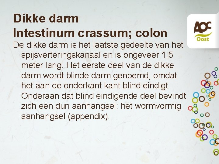 Dikke darm Intestinum crassum; colon De dikke darm is het laatste gedeelte van het Dikke darm Intestinum crassum; colon De dikke darm is het laatste gedeelte van het