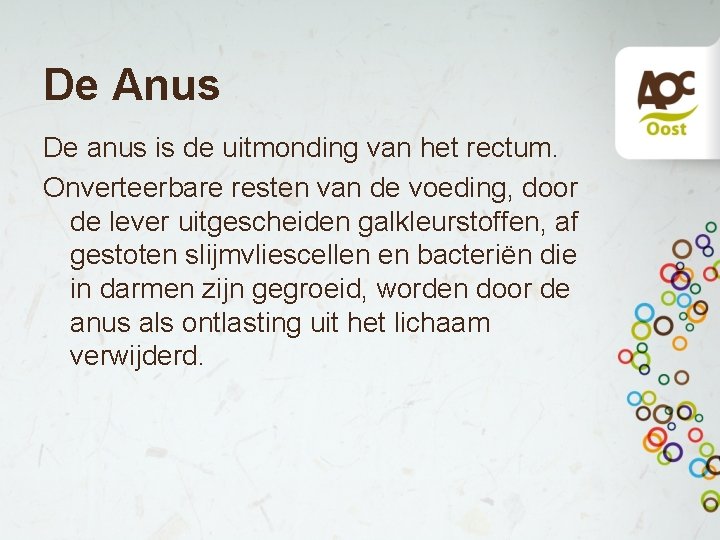 De Anus De anus is de uitmonding van het rectum. Onverteerbare resten van de De Anus De anus is de uitmonding van het rectum. Onverteerbare resten van de