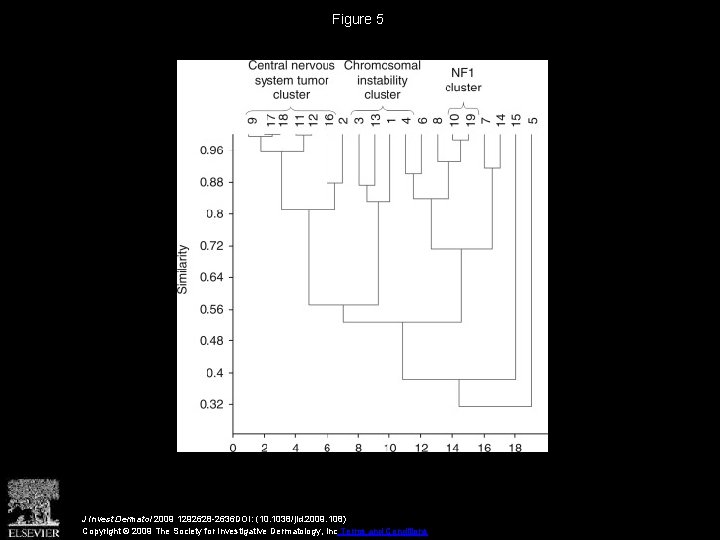 Figure 5 J Invest Dermatol 2009 1292628 -2636 DOI: (10. 1038/jid. 2009. 108) Copyright