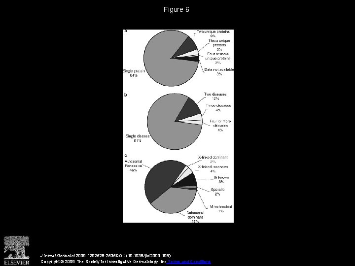 Figure 6 J Invest Dermatol 2009 1292628 -2636 DOI: (10. 1038/jid. 2009. 108) Copyright