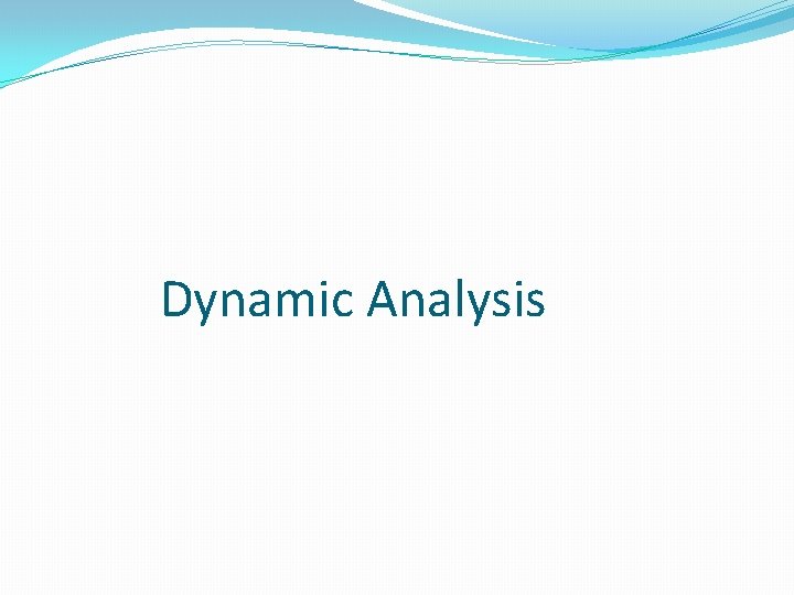 Dynamic Analysis 