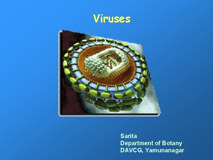 Viruses Sarita Department of Botany DAVCG, Yamunanagar 