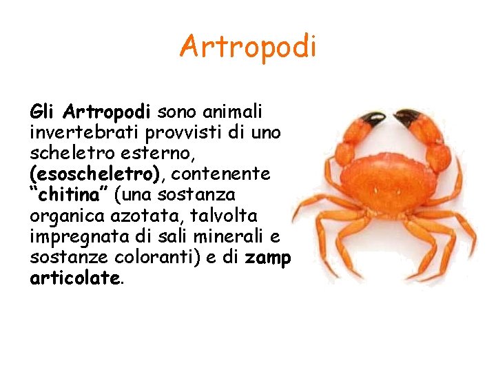 Artropodi Gli Artropodi sono animali invertebrati provvisti di uno scheletro esterno, (esoscheletro), contenente “chitina”