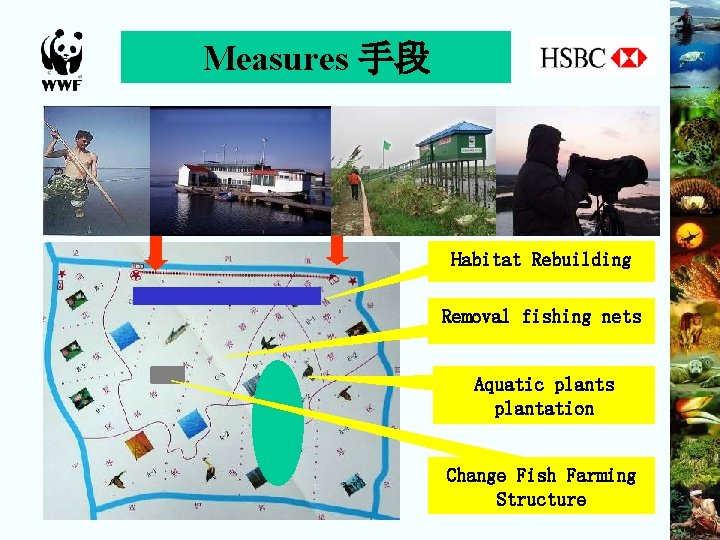 Measures 手段 Habitat Rebuilding Removal fishing nets Aquatic plants plantation Change Fish Farming Structure