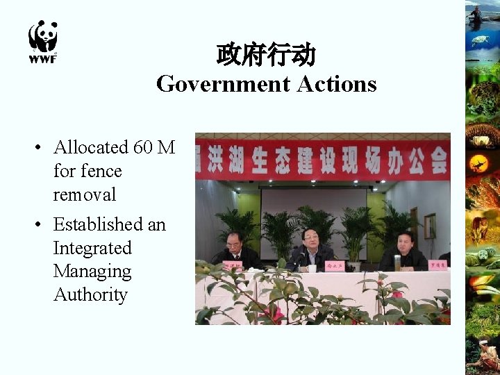 政府行动 Government Actions • Allocated 60 M for fence removal • Established an Integrated