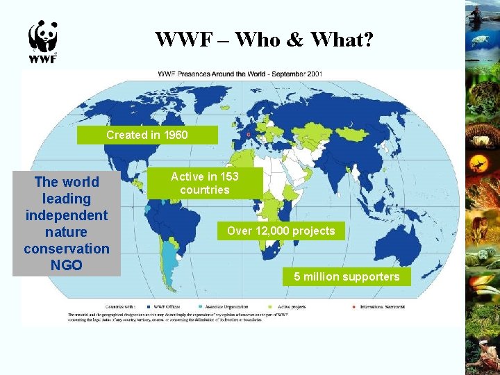 WWF – Who & What? Created in 1960 The world leading independent nature conservation