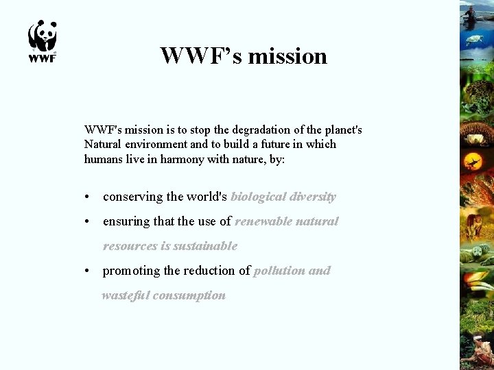 WWF’s mission WWF's mission is to stop the degradation of the planet's Natural environment