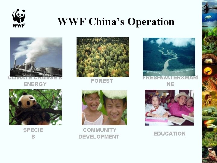 WWF China’s Operation CLIMATE CHANGE & ENERGY SPECIE S FOREST COMMUNITY DEVELOPMENT FRESHWATER&MARI NE