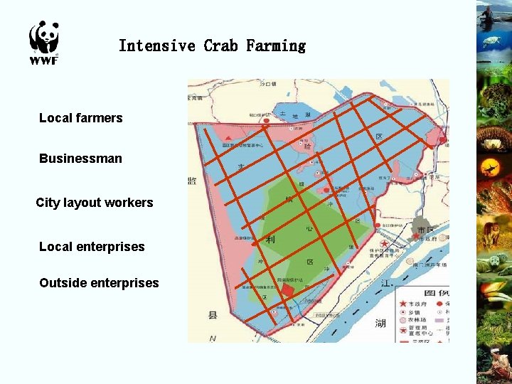 Intensive Crab Farming Local farmers Businessman City layout workers Local enterprises Outside enterprises 