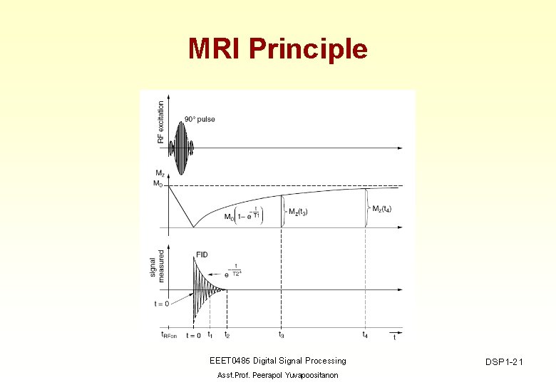 MRI Principle EEET 0485 Digital Signal Processing Asst. Prof. Peerapol Yuvapoositanon DSP 1 -21