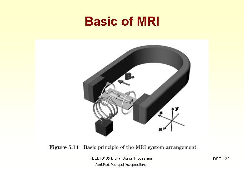 Basic of MRI EEET 0485 Digital Signal Processing Asst. Prof. Peerapol Yuvapoositanon DSP 1