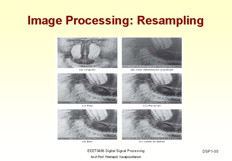 Image Processing: Resampling EEET 0485 Digital Signal Processing Asst. Prof. Peerapol Yuvapoositanon DSP 1