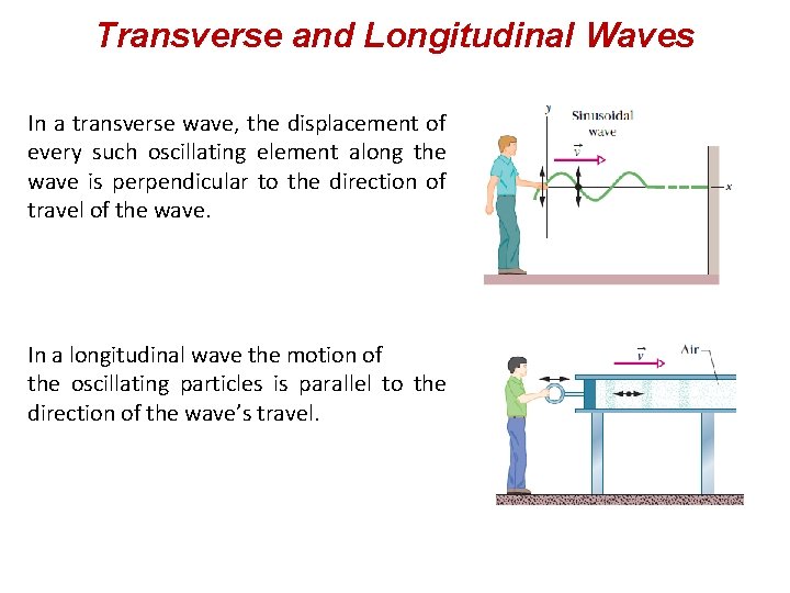 Transverse and Longitudinal Waves In a transverse wave, the displacement of every such oscillating