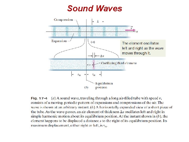 Sound Waves 