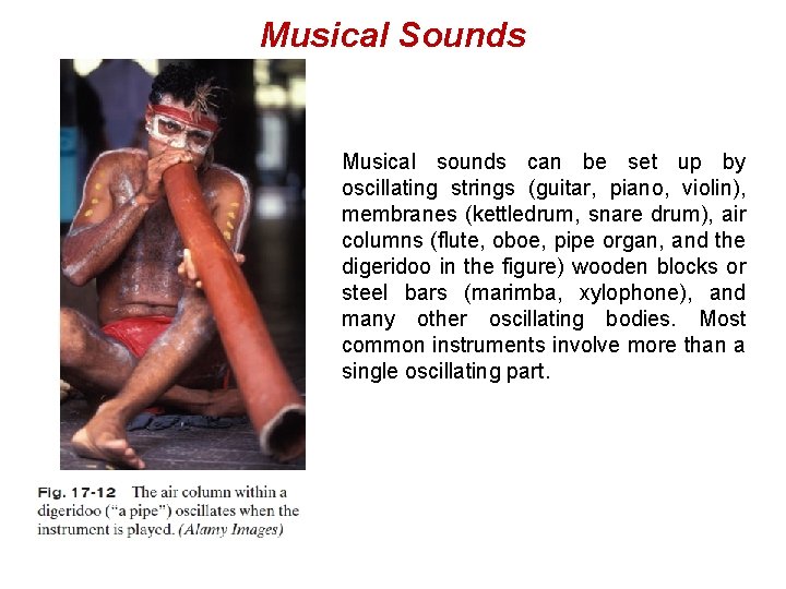 Musical Sounds Musical sounds can be set up by oscillating strings (guitar, piano, violin),