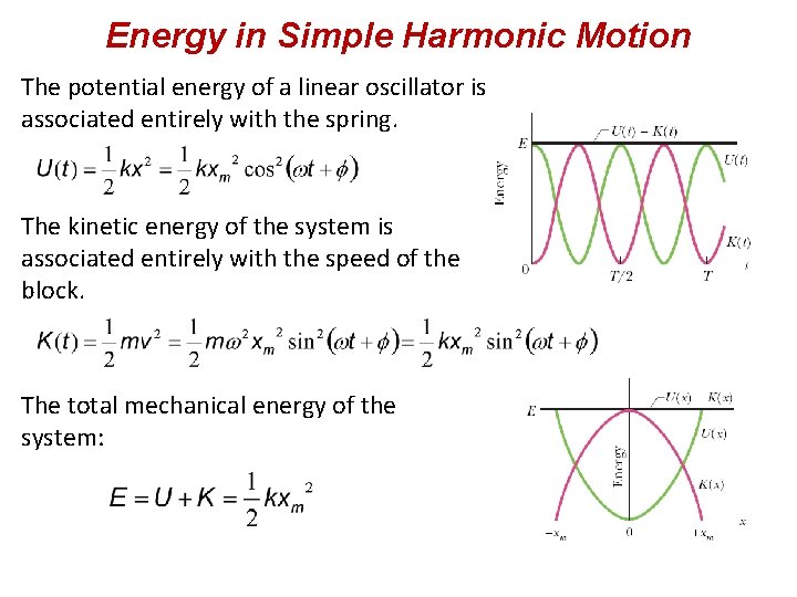 Energy in Simple Harmonic Motion The potential energy of a linear oscillator is associated