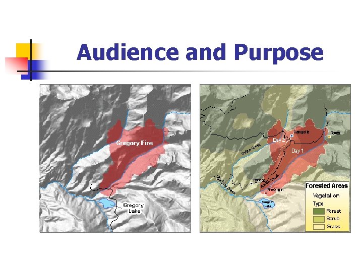 Audience and Purpose 