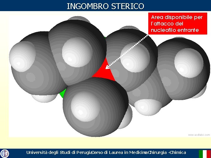 INGOMBRO STERICO Area disponibile per l’attacco del nucleofilo entrante Università degli Studi di Perugia.