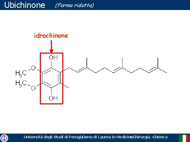 Ubichinone (Forma ridotta) idrochinone Università degli Studi di Perugia. Corso – di Laurea in