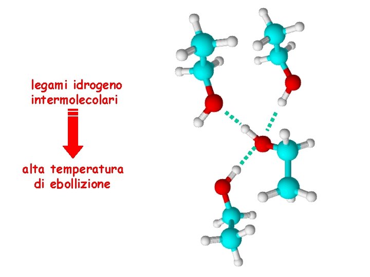 legami idrogeno intermolecolari alta temperatura di ebollizione Università degli Studi di Perugia. Corso –