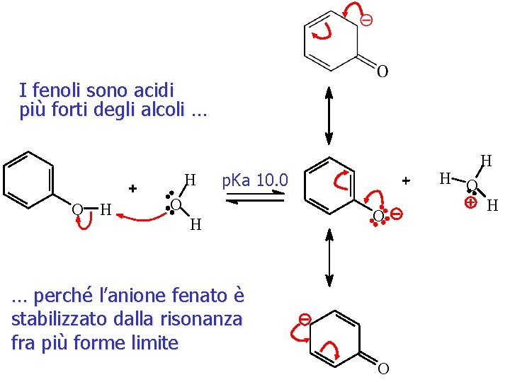 I fenoli sono acidi più forti degli alcoli … H O H H O