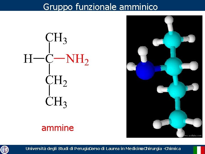 Gruppo funzionale amminico ammine Università degli Studi di Perugia. Corso – di Laurea in