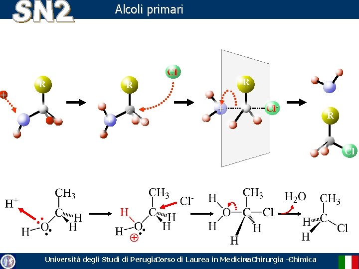 Alcoli primari Cl. R R R + + + Cl- R Cl Università degli